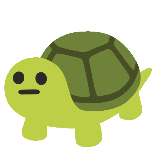 🐢